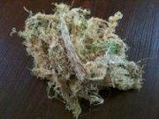 Мох сфагнум,  купить,  продажа мох сфагнум (Sphagnum) опт,  розница,  дост