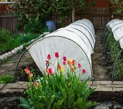 Парники для сада и огорода